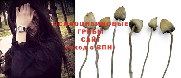 спайс Аркадак