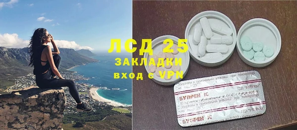 спайс Аркадак