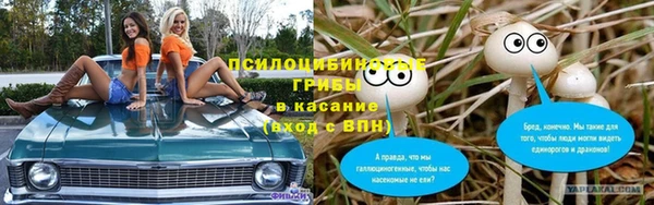 спайс Аркадак