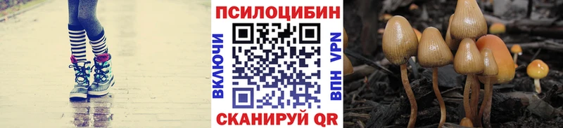 закладки блэк спрут ссылки Галлюциногенные грибы прущие грибы маркетплейс состав Светлогорск